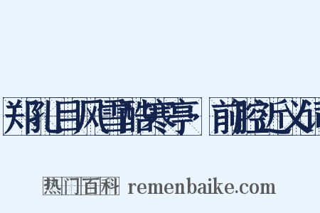 郑孔目风雪酷寒亭·前腔近义词是什么意思的图片